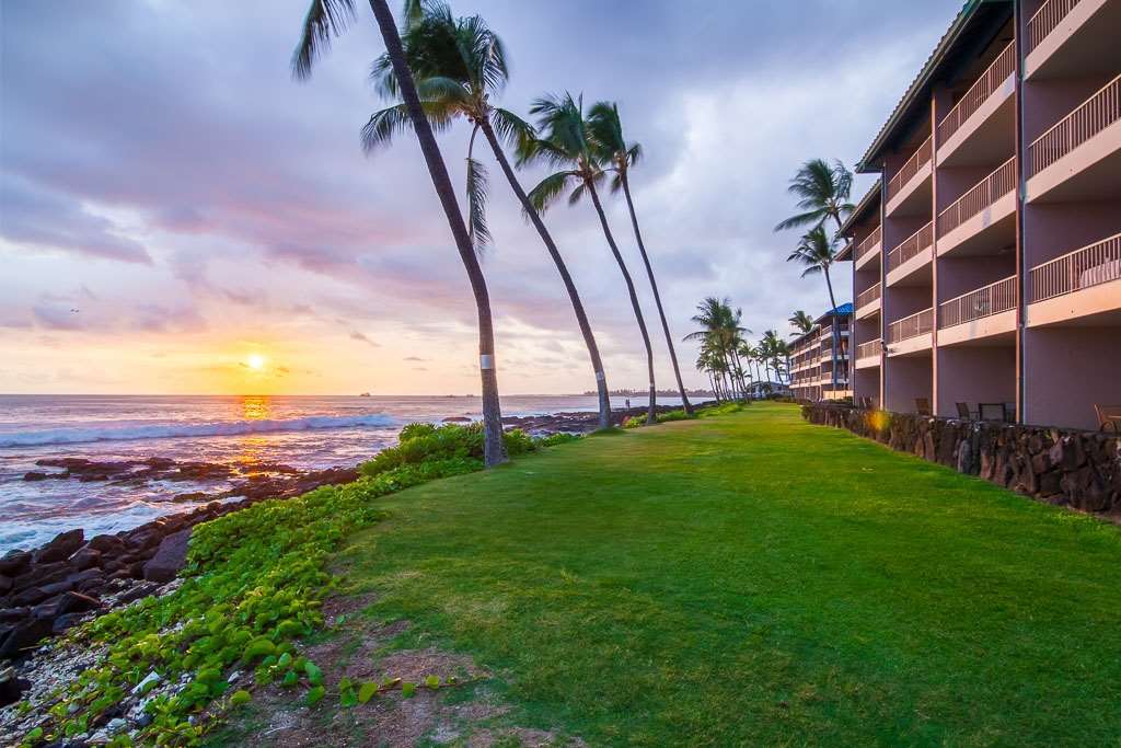 Kona Reef Hotel Kailua-Kona Nature photo